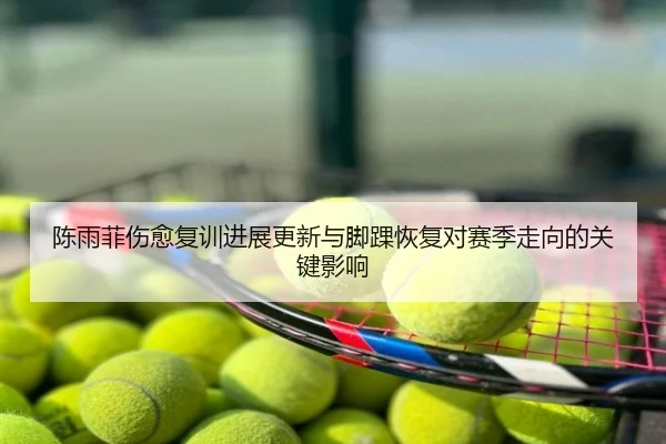 陈雨菲伤愈复训进展更新与脚踝恢复对赛季走向的关键影响
